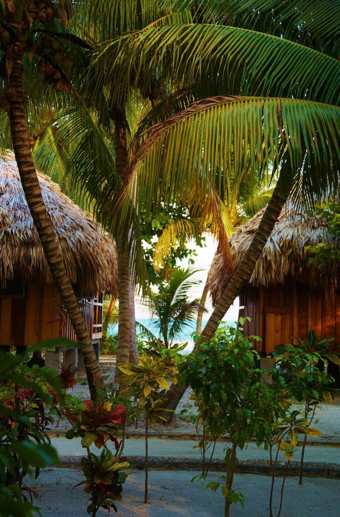 St. George'S Caye Resort Belize City Zimmer foto